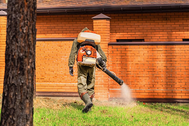 Trusted Bed Bug Control service in Tracyton, WA - Nex Pest Control